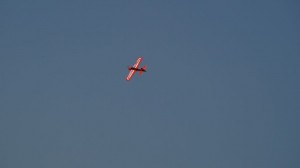 DSC09384